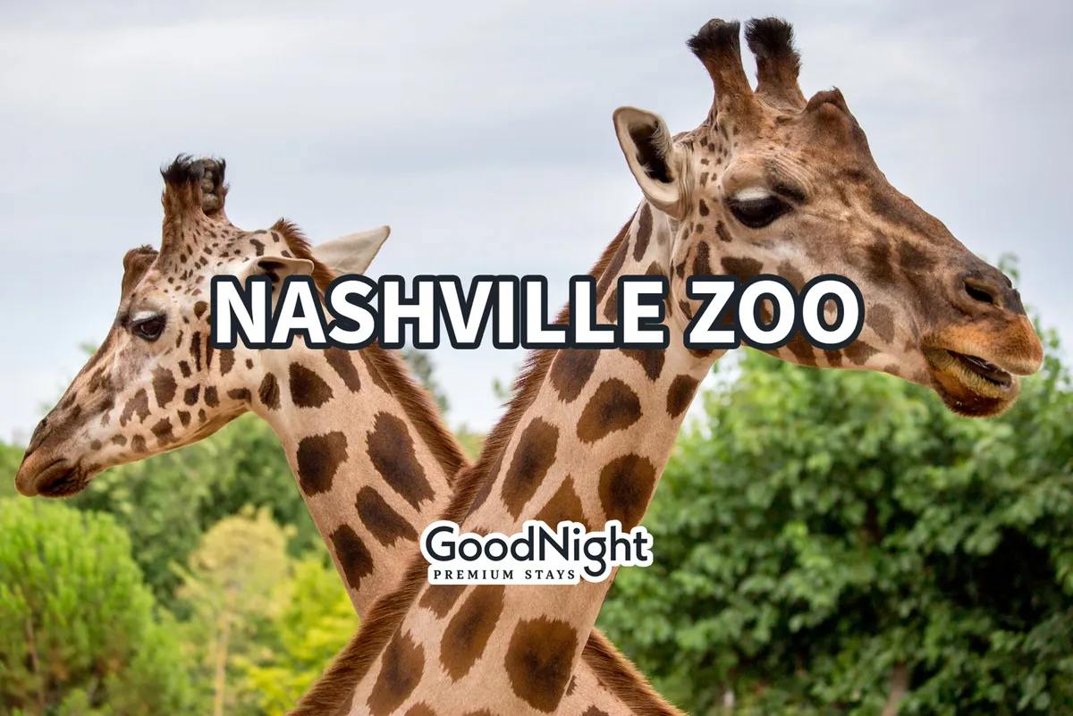 A close-up view of giraffes against lush green foliage, set within the dynamic, family-friendly atmosphere of the Nashville Zoo. The image exudes a sense of joy and curiosity, perfect for family outings and wildlife observation.
